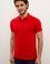 Erkek Kırmızı Polo Yaka Basic T-Shirt
