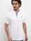 Erkek Beyaz Hakim Yaka T-Shirt