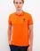 Erkek Nar Çiçeği Polo Yaka T-Shirt Basic