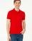 Erkek Kırmızı Basic Polo Yaka Tişört