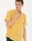 Erkek Sarı Kısa Kollu Gömlek